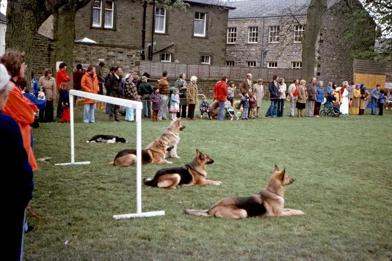 Dog Demonstration - May Day 1977.jpg - Display team from North Yorkshire Police Dog Handlers Association-  on The Green - May Day 1977   ( The May Queen is near the right hand side - white dress with red cloak )